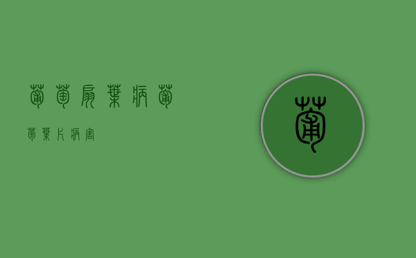 葡萄扇叶病（葡萄叶片病害）