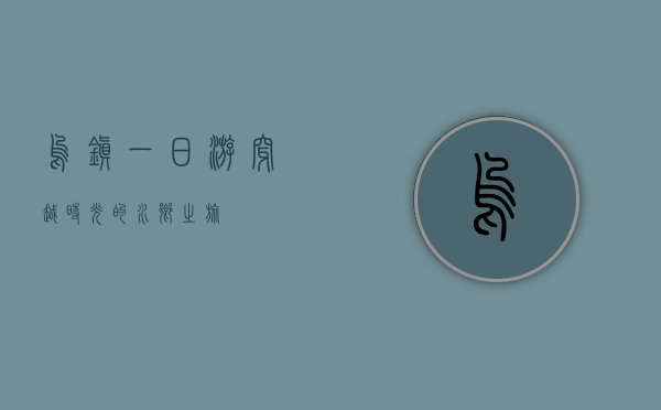 乌镇一日游，穿越时光的水乡之旅