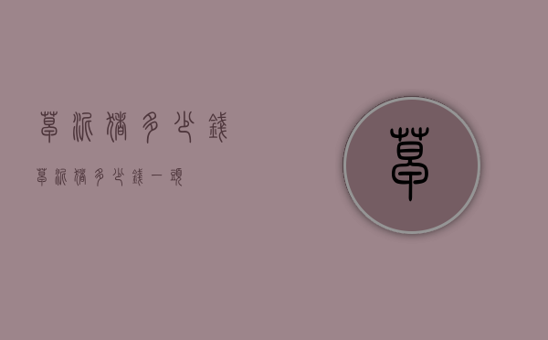 草泥猪多少钱（草泥猪多少钱一头）