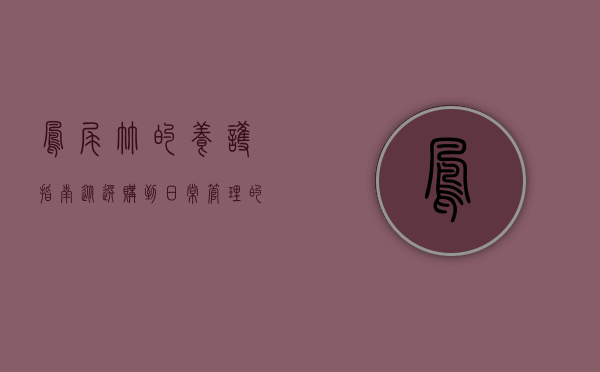 凤尾竹的养护指南，从选购到日常管理的全面解析