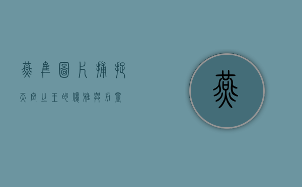 燕隼图片，捕捉天空之王的优雅与力量