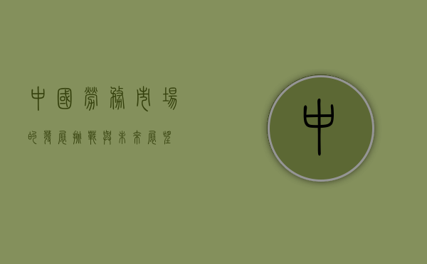 中国劳务市场的发展、挑战与未来展望