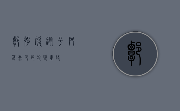 谭凯欣，从平凡到非凡的蜕变之路