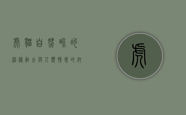 虎猫，自然界的神秘融合与人类情感的纽带