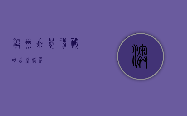 澳洲飞鼠，神秘的森林精灵