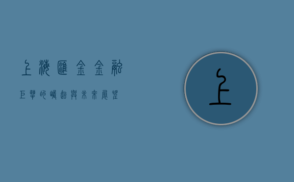 上海汇金，金融巨擘的崛起与未来展望