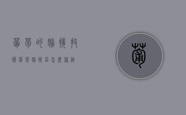 葡萄的嫁接技术（葡萄嫁接苗怎么种植）
