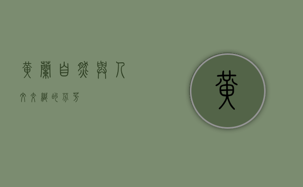 黄兰，自然与人文交织的芬芳