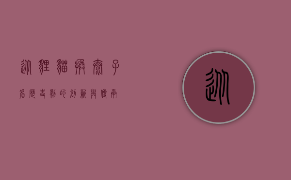 从狸猫换太子看历史剧的创新与传承