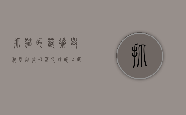 抓猫的艺术与科学，从技巧到心理的全面解析