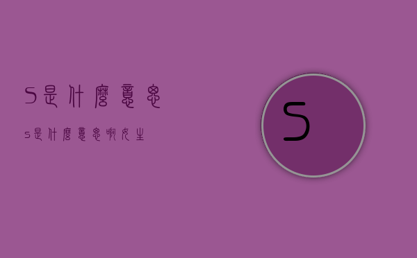 ?S是什么意思（s是什么意思啊女生）