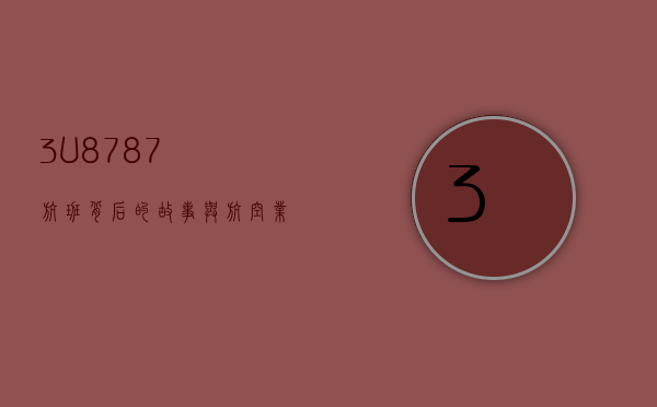 3U8787，航班背后的故事与航空业的未来