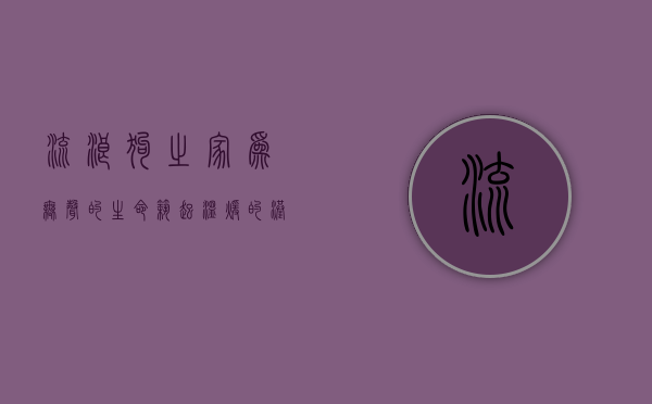 流浪狗之家，为无声的生命筑起温暖的港湾