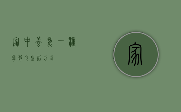家中养鱼,一种宁静的生活方式 家中养鱼,一种宁静的生活方式