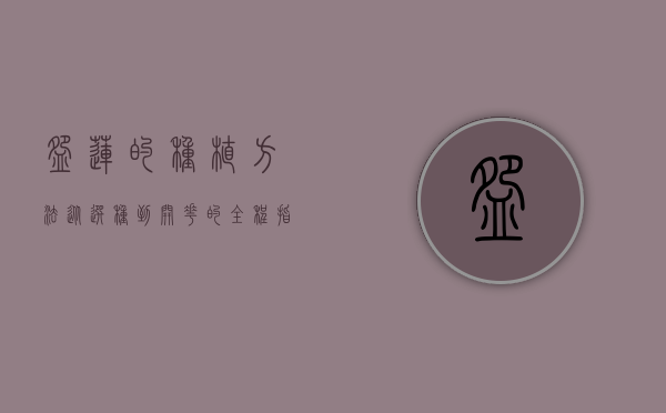 碗莲的种植方法，从选种到开花的全程指南