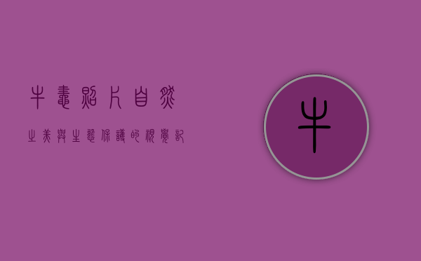 牛蛙照片，自然之美与生态保护的视觉记录