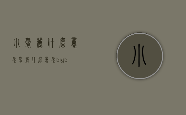 小爱丽什么意思（爱丽什么意思bigbang）