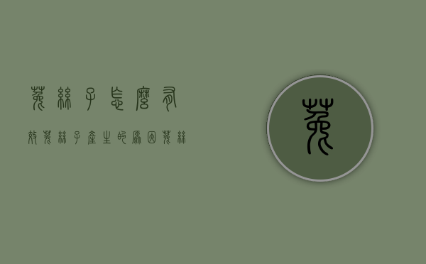 菟丝子怎么有效？菟丝子产生的原因（菟丝子的使用方法）