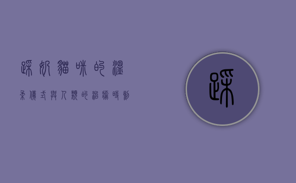 踩奶，猫咪的温柔仪式与人类的治愈时刻
