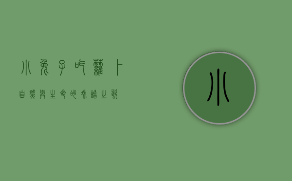 小兔子吃萝卜，自然与生命的和谐之歌