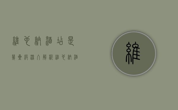 维也纳酒店是几星级？深入解析维也纳酒店的星级定位与服务特色
