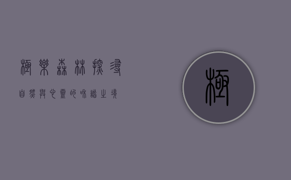 极乐森林，探寻自然与心灵的和谐之境