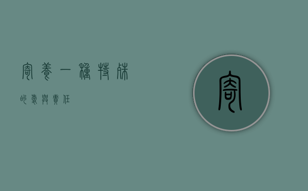 寄养，一种特殊的爱与责任