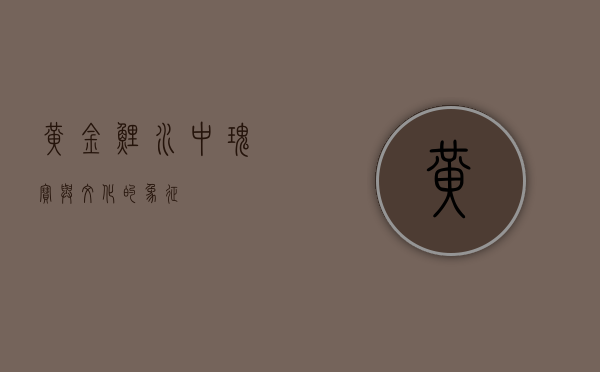 黄金鲤,水中瑰宝与文化的象征 黄金鲤,水中瑰宝与文化的象征