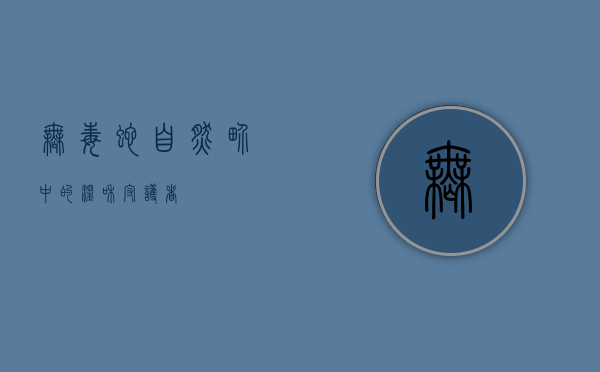 无毒蛇，自然界中的温和守护者
