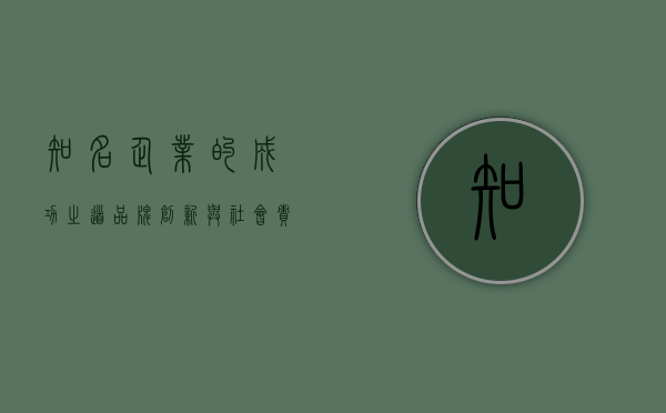 知名企业的成功之道，品牌、创新与社会责任