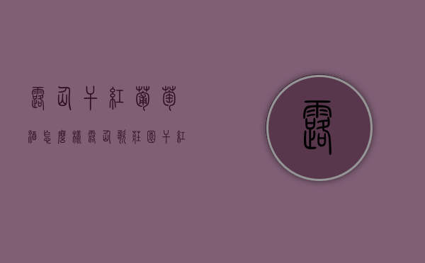 露仙干红葡萄酒怎么样（露仙歌庄园干红葡萄酒 价格）