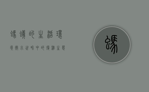 蚂蚁的生活环境，微小世界中的复杂生态