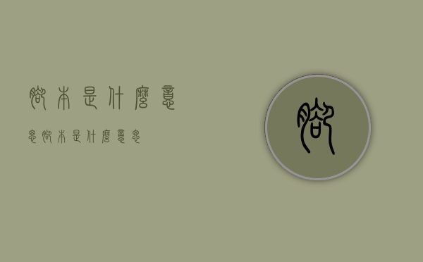脚本是什么意思（脚本是什么意思?）