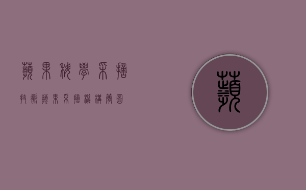 苹果科学采摘技术（苹果采摘机构简图）