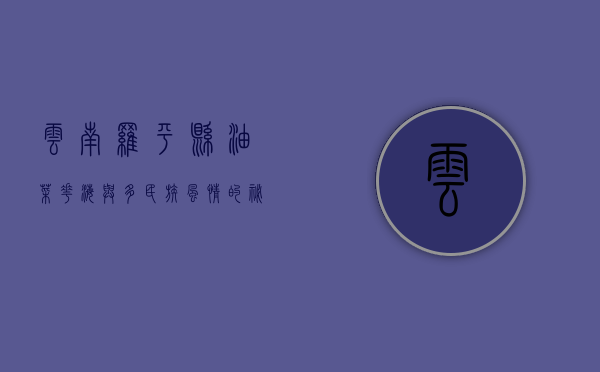 云南罗平县，油菜花海与多民族风情的秘境之旅