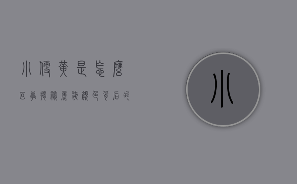 小便黄是怎么回事？揭秘尿液颜色背后的健康信号