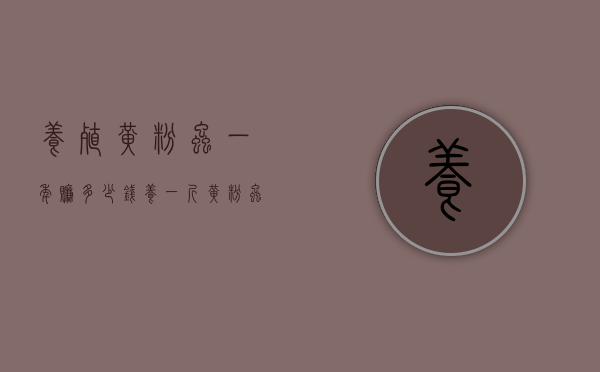 养殖黄粉虫一年赚多少钱（养一斤黄粉虫需要多少成本）