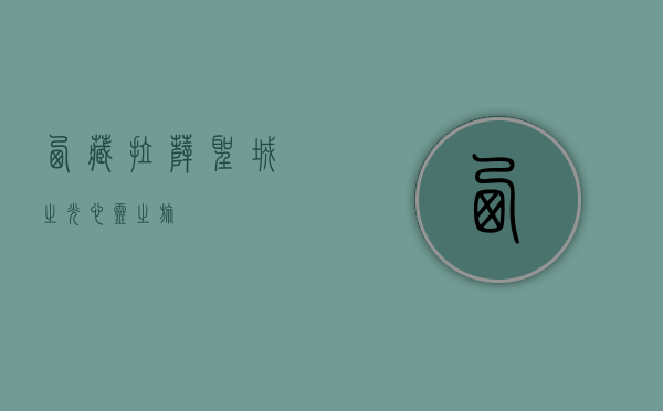 西藏拉萨，圣城之光，心灵之旅