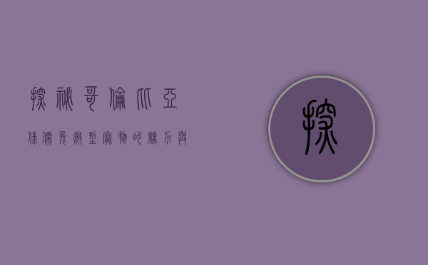 探秘哥伦比亚侏儒兔，微型宠物的魅力与养护指南