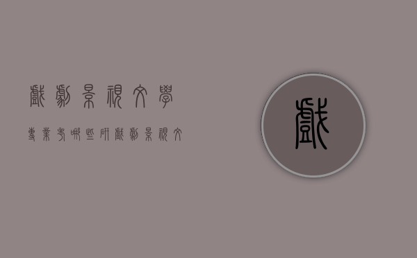 戏剧影视文学专业考哪些研（戏剧影视文学研究生考什么）
