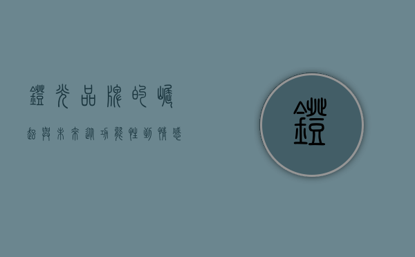 灯光品牌的崛起与未来，从功能性到情感化的转变