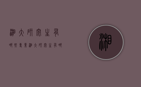 湘大研究生有哪些专业（湘大研究生有哪些专业目录）