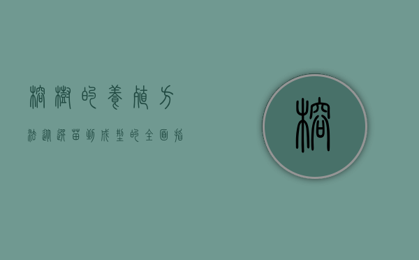 榕树的养殖方法，从选苗到成型的全面指南