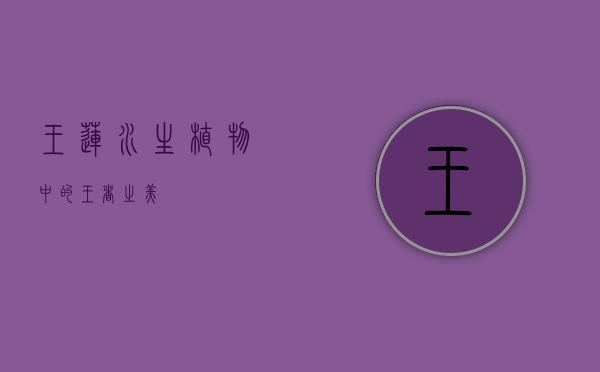 王莲，水生植物中的王者之美