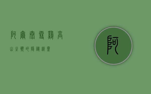 阿尔泰雪鸡，高山之巅的隐秘精灵