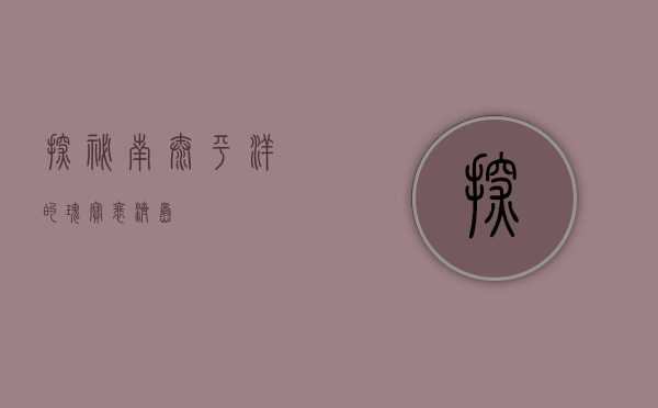 探秘南太平洋的瑰宝—裴济岛