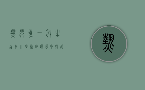 热带鱼一般生活在什么样的环境中？探索热带鱼的栖息地与生存奥秘