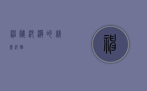 神秘沙漠的精灵—沙猫