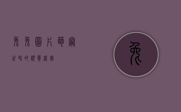 兔兔图片，萌宠世界的视觉盛宴