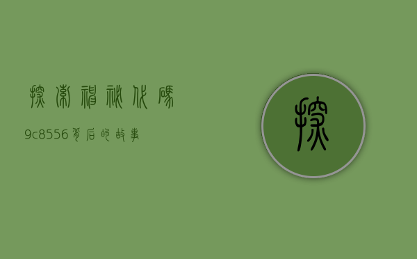 探索神秘代码9c8556背后的故事